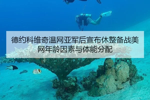 德约科维奇温网亚军后宣布休整备战美网年龄因素与体能分配